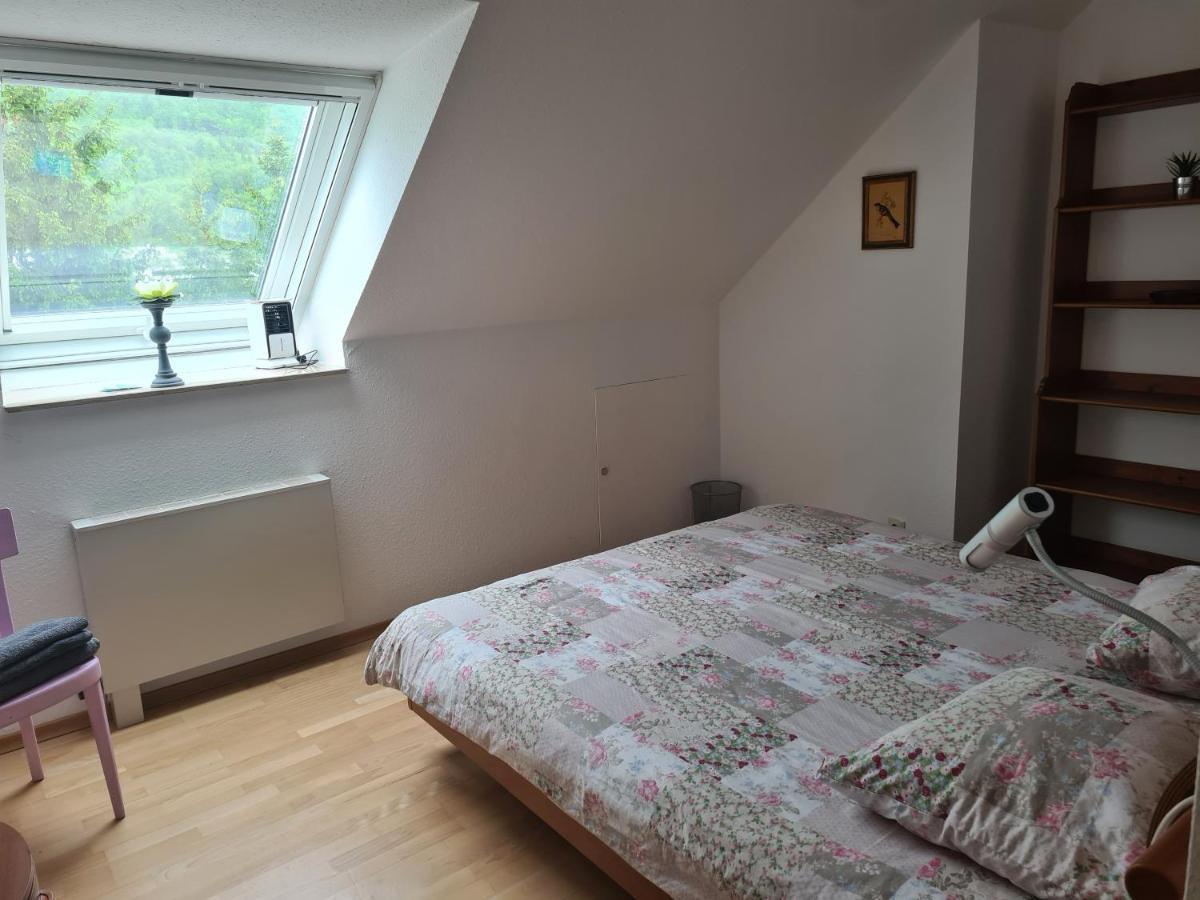Appartement Paradiso Busingen am Hochrhein Екстериор снимка