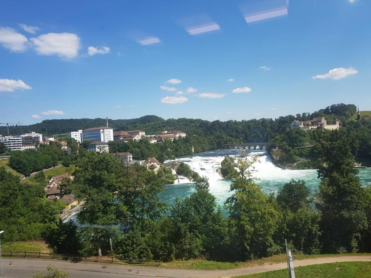 Appartement Paradiso Busingen am Hochrhein Екстериор снимка